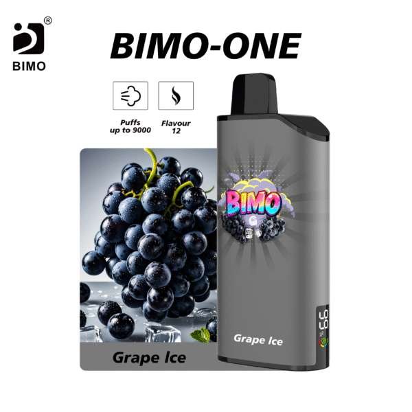 Bimo ONE 9000-Grape-lce