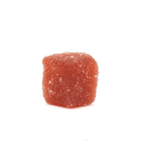 Dreamer-Shrooms-Lions-Mane-Delta-9-Gummy-Squares-15-Count-Product-scaled-1.jpg Dreamer Shrooms Lion’s Mane + Delta 9 THC Gummies – 15 Count