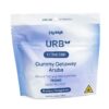 Urb Delta 9 and CBD Gummies – Blueberry Pomegranate