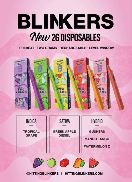 Blinker 2g disposable New