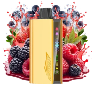 b302586b-b508-4ac9-99aa-620d02d1c8a5.webp JNR Cruiser Quadruple Berry