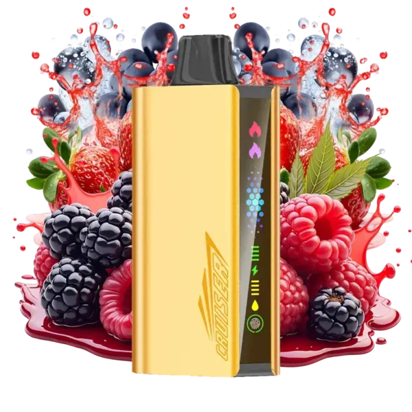 b302586b-b508-4ac9-99aa-620d02d1c8a5.webp JNR Cruiser Quadruple Berry