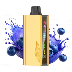 imgi_10_blueberry-blast-jnr-cruiser.webp JNR-Cruise-Blueberry-Blast