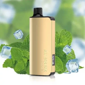 imgi_11_alibarbar-ingot-9000-puffs-cool-mint.webp Alibarbar Ingot 9000 Puffs-Cool-Mint