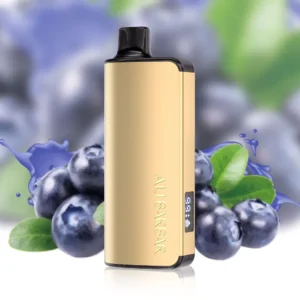 Alibarbar Ingot 9000 Puffs-Blueberry-Mint