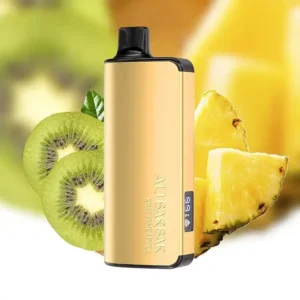 imgi_19_alibarbar-ingot-9000-puffs-kiwi-pineapple.webp Alibarbar Ingot 9000 Puffs-Kiwi-Pineapple
