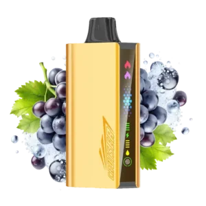 imgi_5_grape-ice-jnr-cruiser.webp JNR-Cruise-Grape-Ice