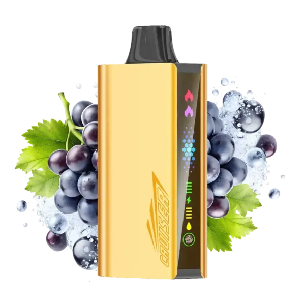imgi_5_grape-ice-jnr-cruiser.webp JNR-Cruise-Grape-Ice