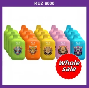 KUZ C6000 PUFFS-Wholesale-10pack